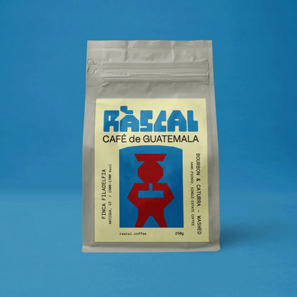Finca Filadelfia - Bourbon, Caturra - Washed