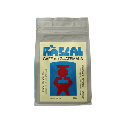 Finca Filadelfia - Bourbon, Caturra - Washed