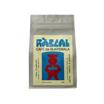 Finca Filadelfia - Bourbon, Caturra - Washed
