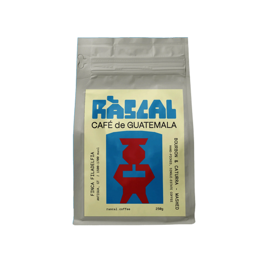 Finca Filadelfia - Bourbon, Caturra - Washed
